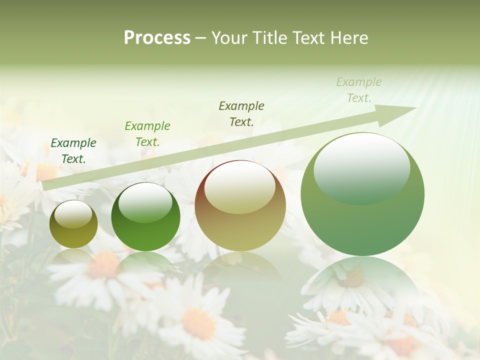 Beautiful Rain Stalk PowerPoint Template