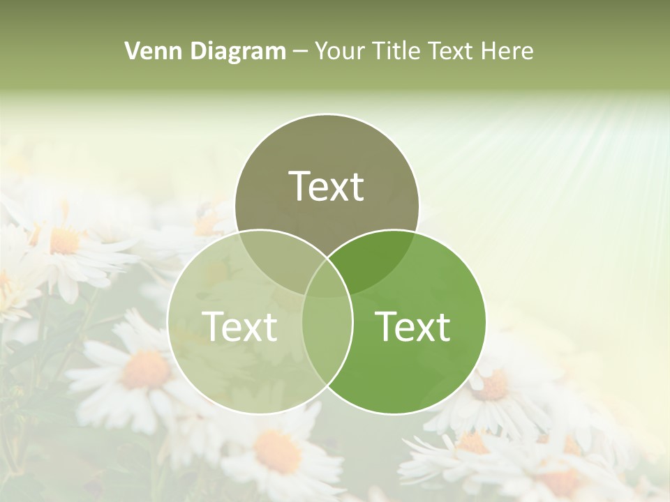 Beautiful Rain Stalk PowerPoint Template