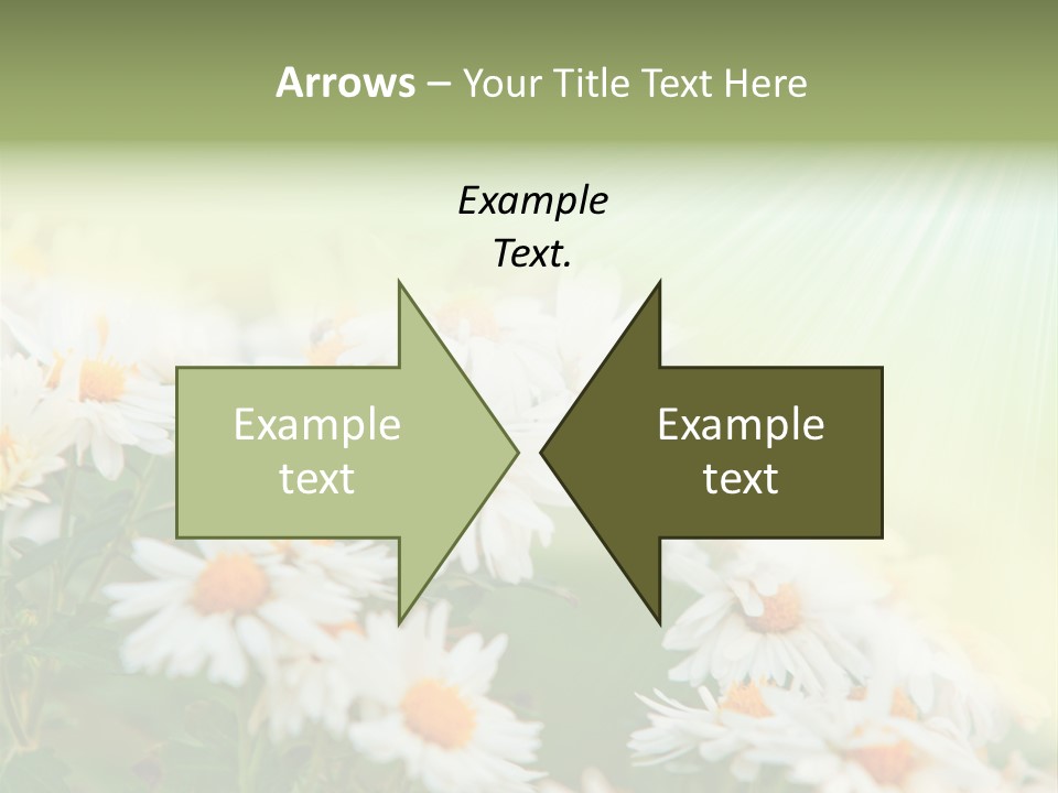 Beautiful Rain Stalk PowerPoint Template