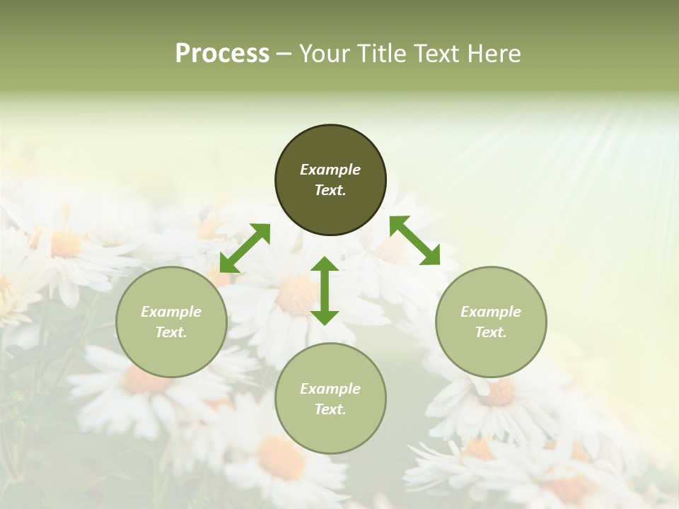 Beautiful Rain Stalk PowerPoint Template