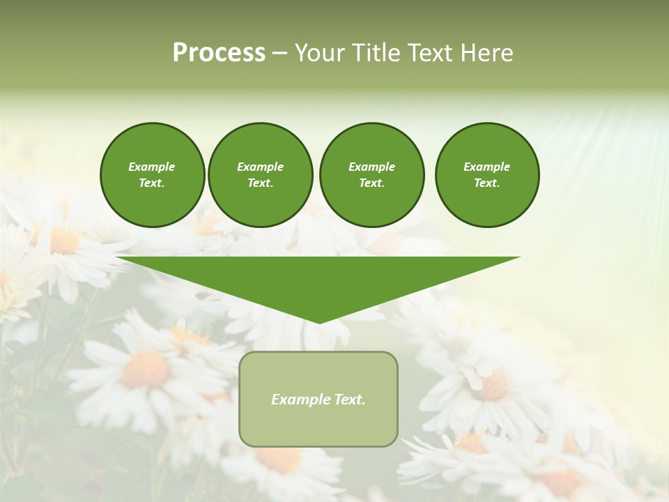 Beautiful Rain Stalk PowerPoint Template