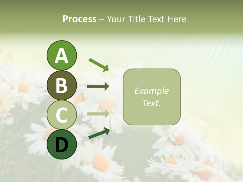 Beautiful Rain Stalk PowerPoint Template