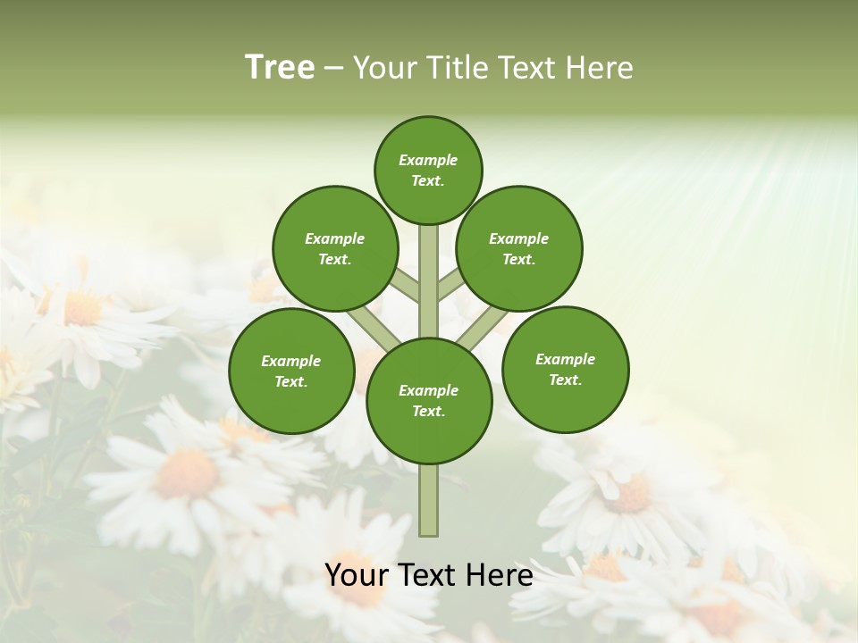 Beautiful Rain Stalk PowerPoint Template