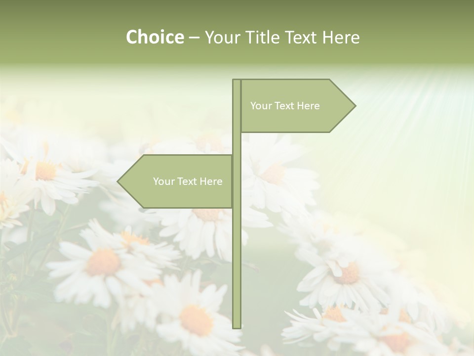 Beautiful Rain Stalk PowerPoint Template