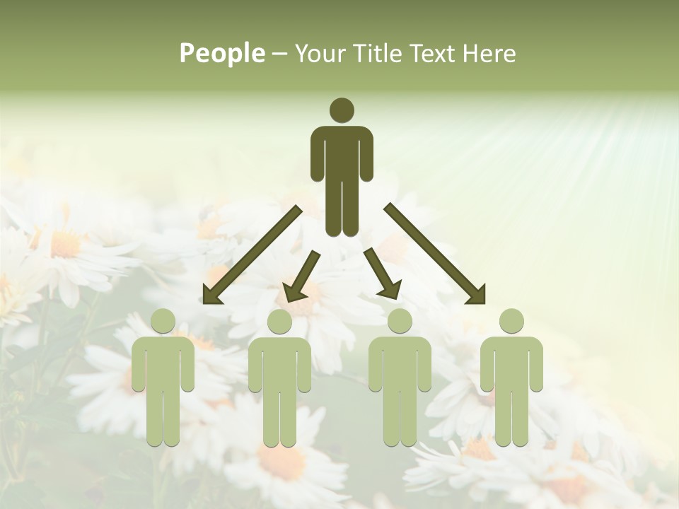 Beautiful Rain Stalk PowerPoint Template