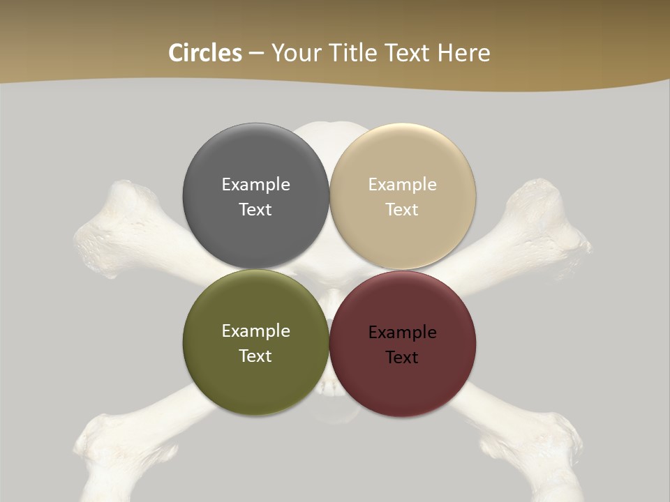 Science Symbol Image PowerPoint Template