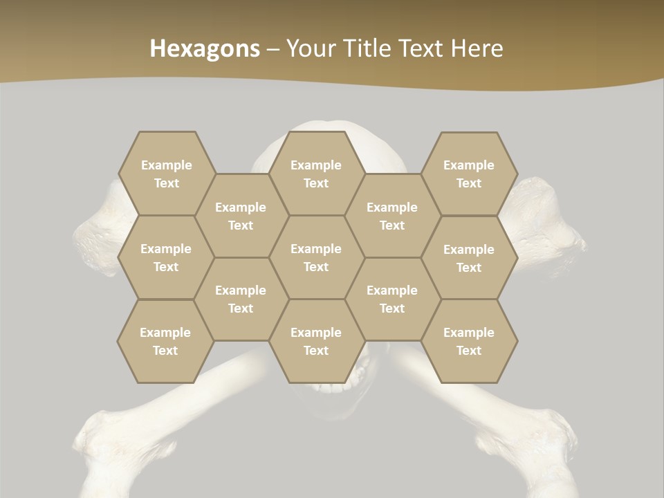 Science Symbol Image PowerPoint Template
