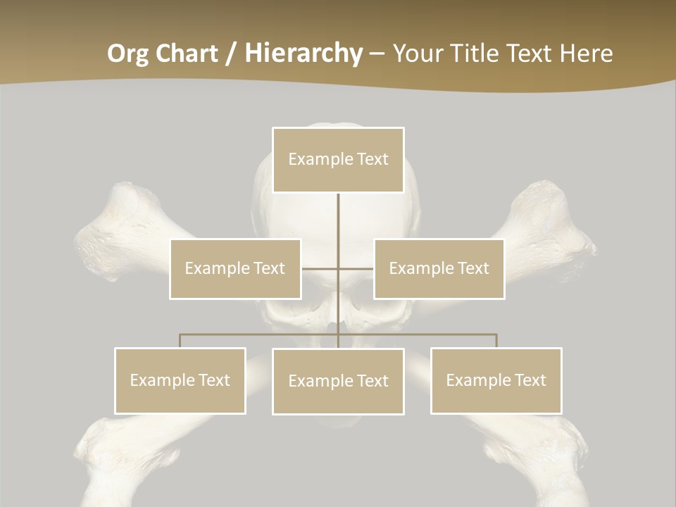 Science Symbol Image PowerPoint Template