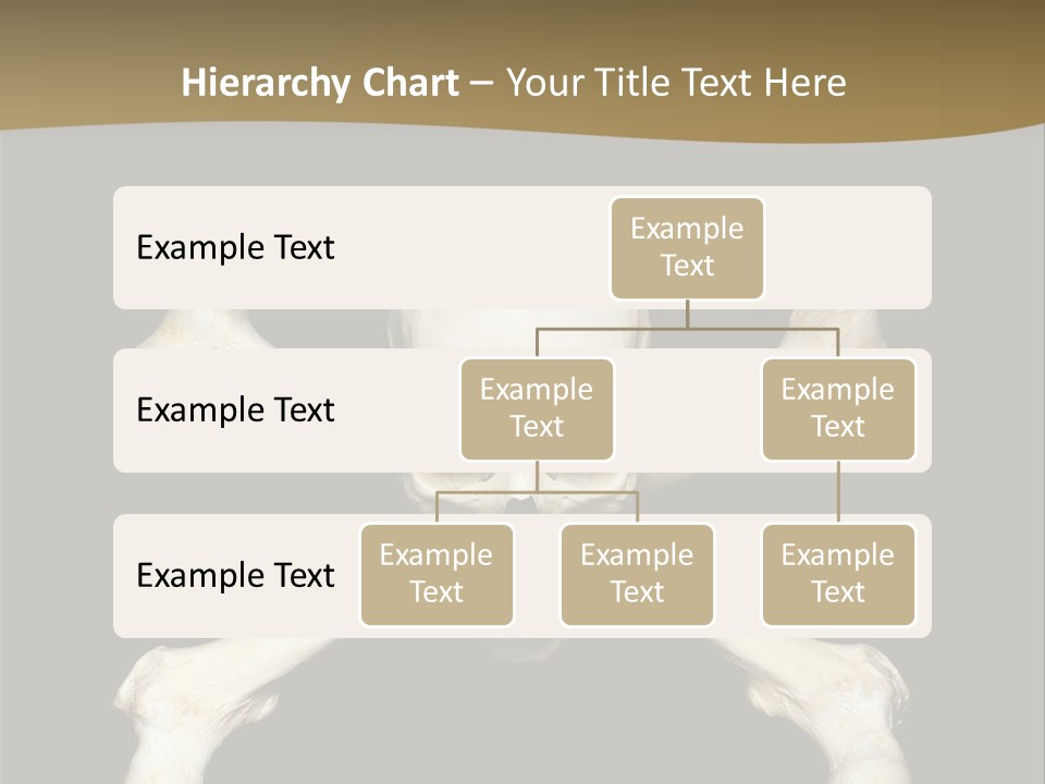 Science Symbol Image PowerPoint Template
