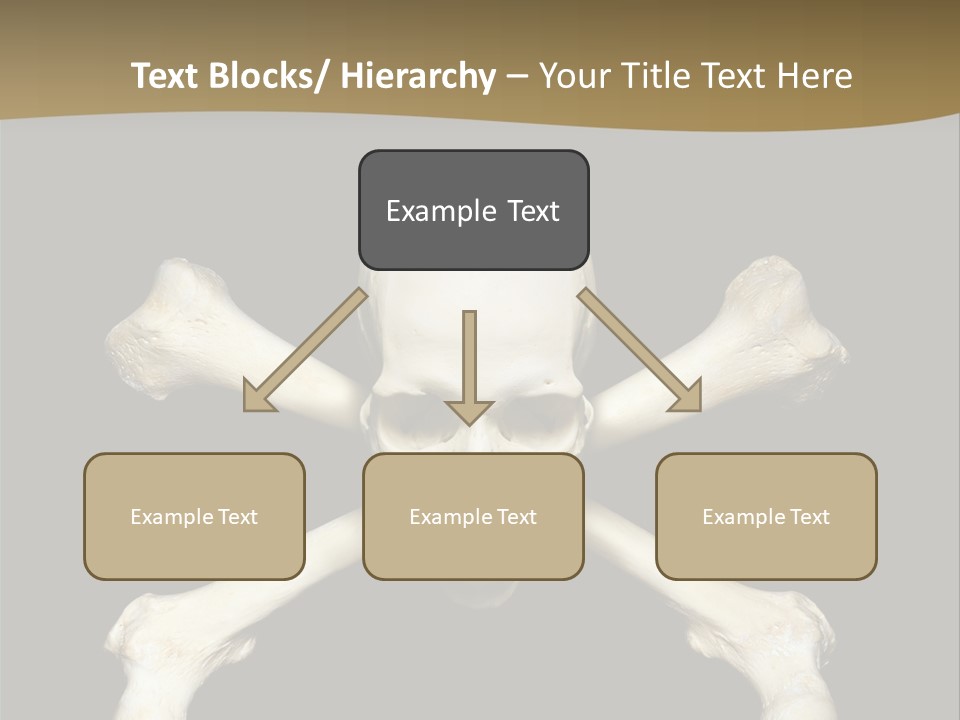 Science Symbol Image PowerPoint Template