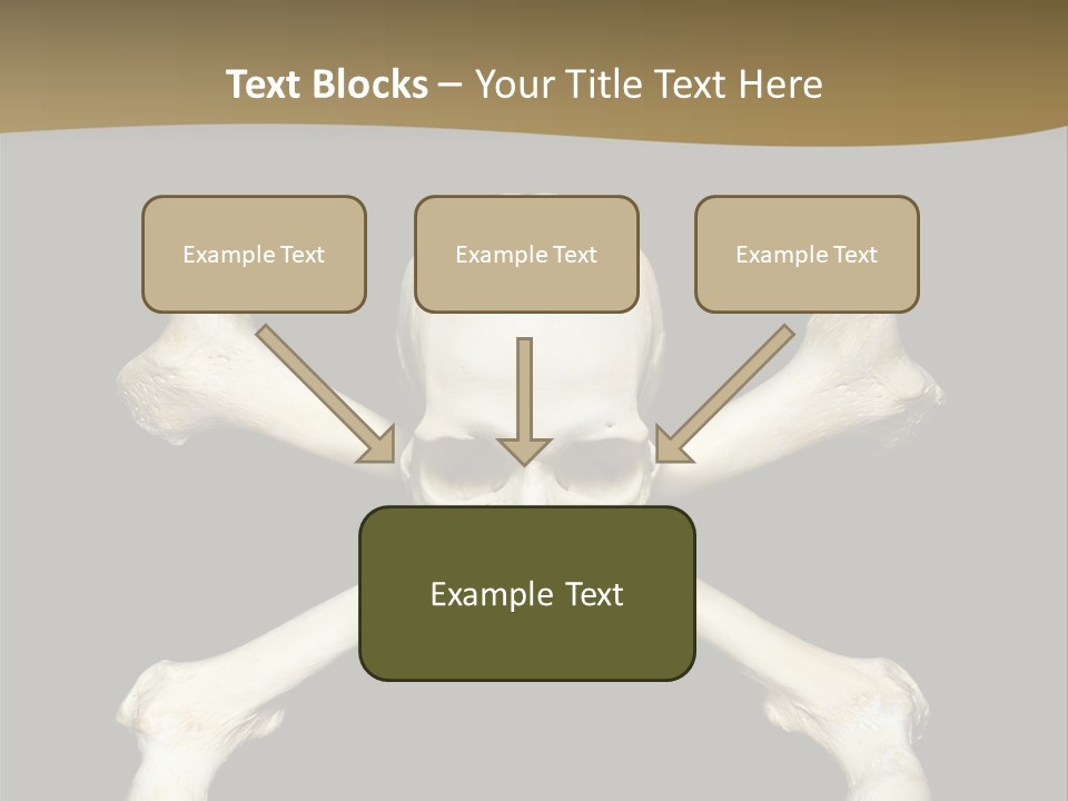 Science Symbol Image PowerPoint Template