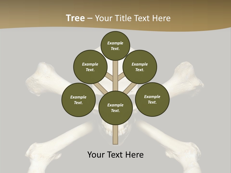 Science Symbol Image PowerPoint Template