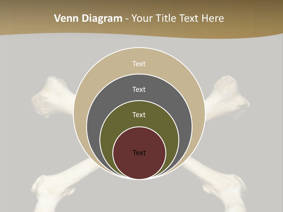 Science Symbol Image PowerPoint Template