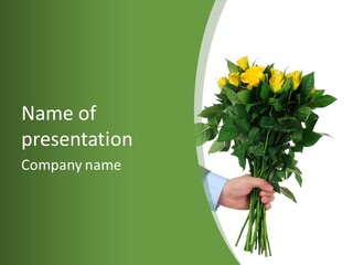 Bunch Pure Rich PowerPoint Template