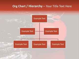 Drink Drop White PowerPoint Template