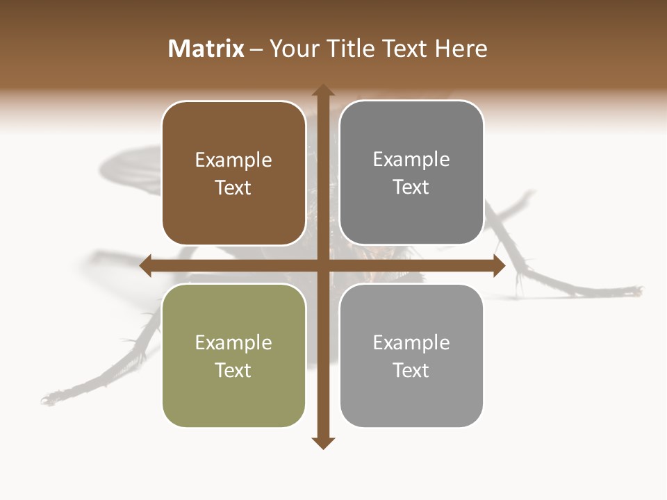Fly Background Detailed PowerPoint Template