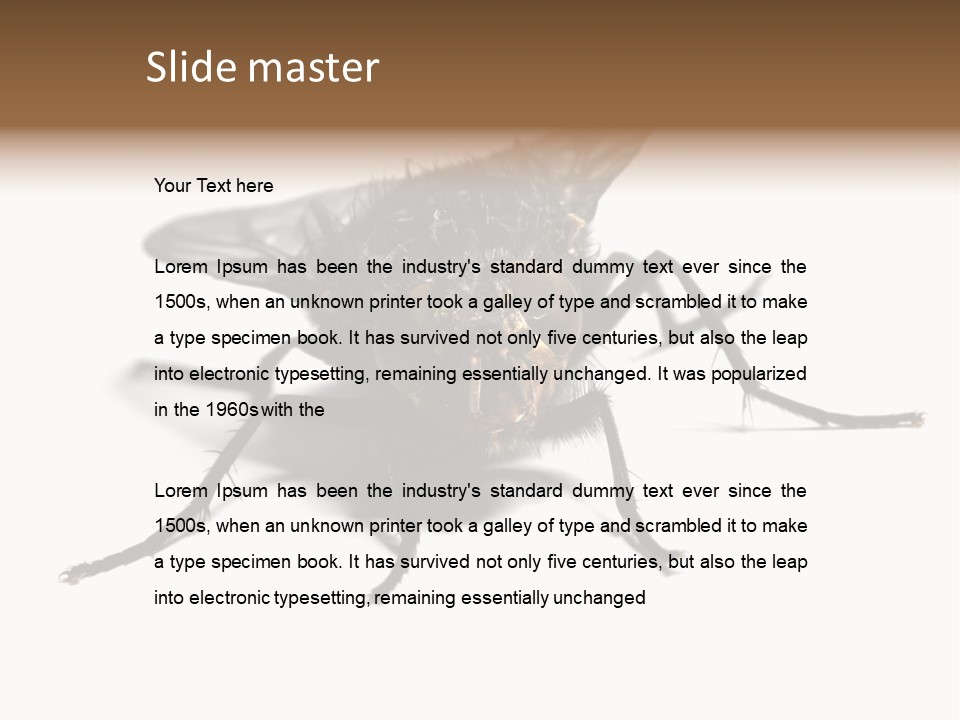 Fly Background Detailed PowerPoint Template