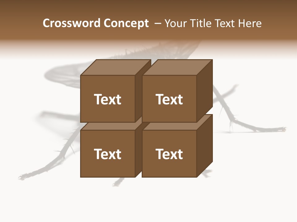 Fly Background Detailed PowerPoint Template