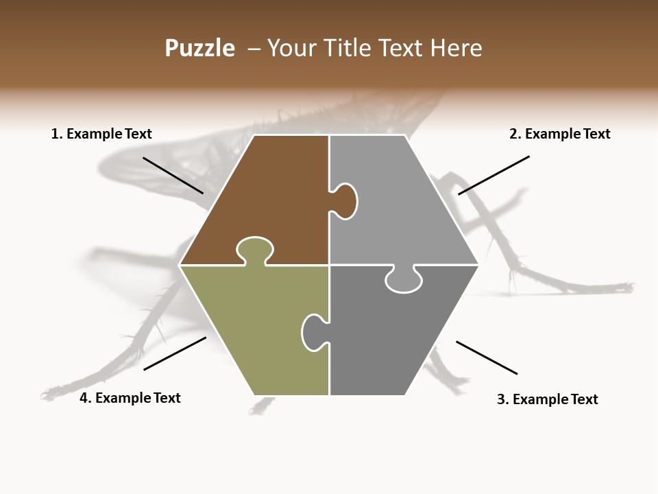 Fly Background Detailed PowerPoint Template