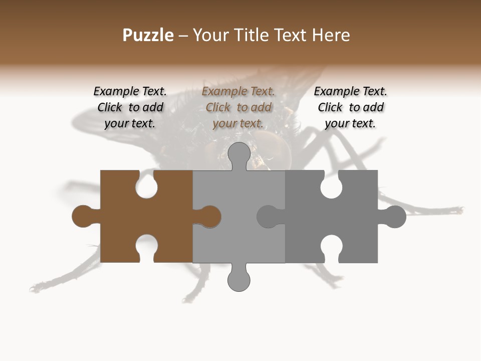 Fly Background Detailed PowerPoint Template