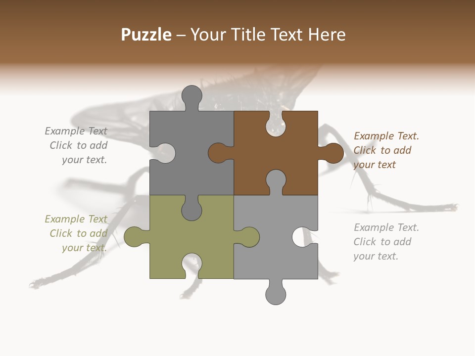 Fly Background Detailed PowerPoint Template