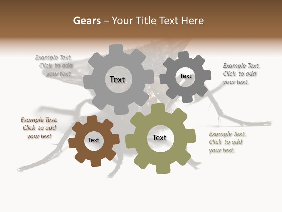 Fly Background Detailed PowerPoint Template