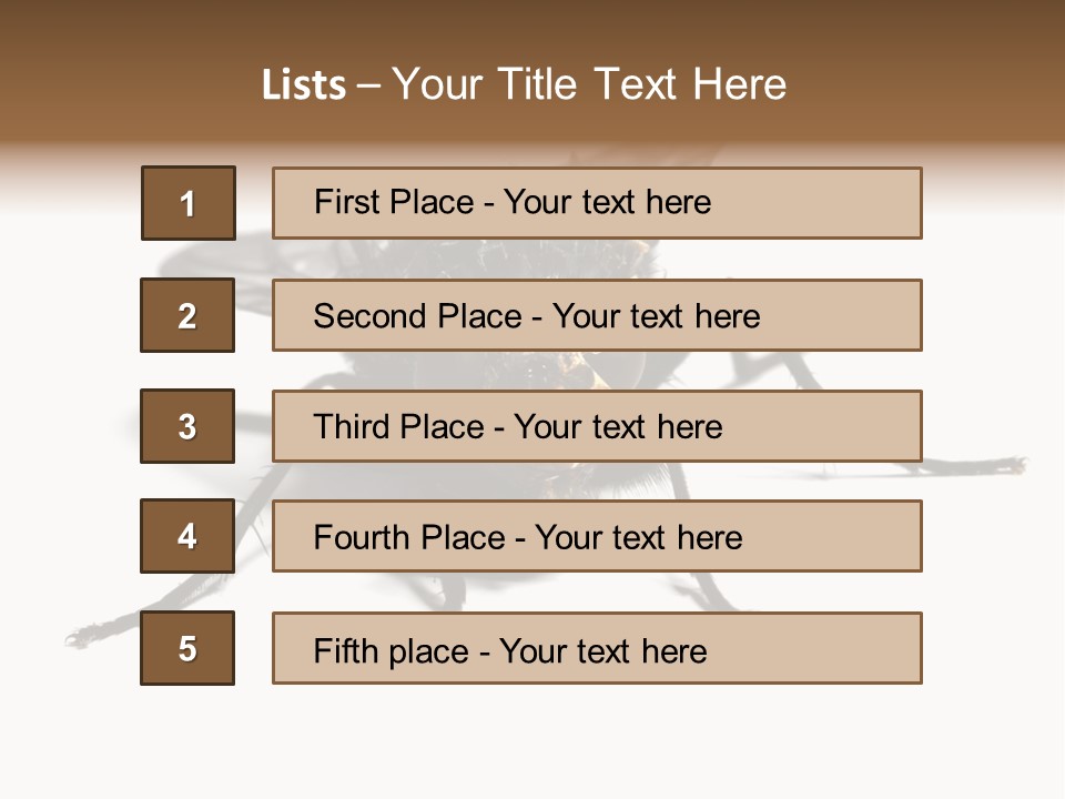 Fly Background Detailed PowerPoint Template