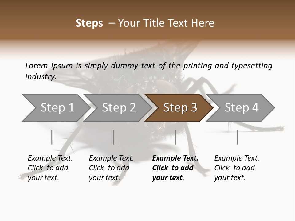 Fly Background Detailed PowerPoint Template