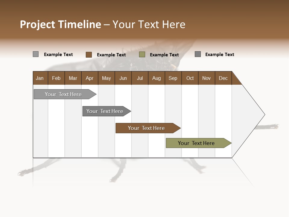 Fly Background Detailed PowerPoint Template