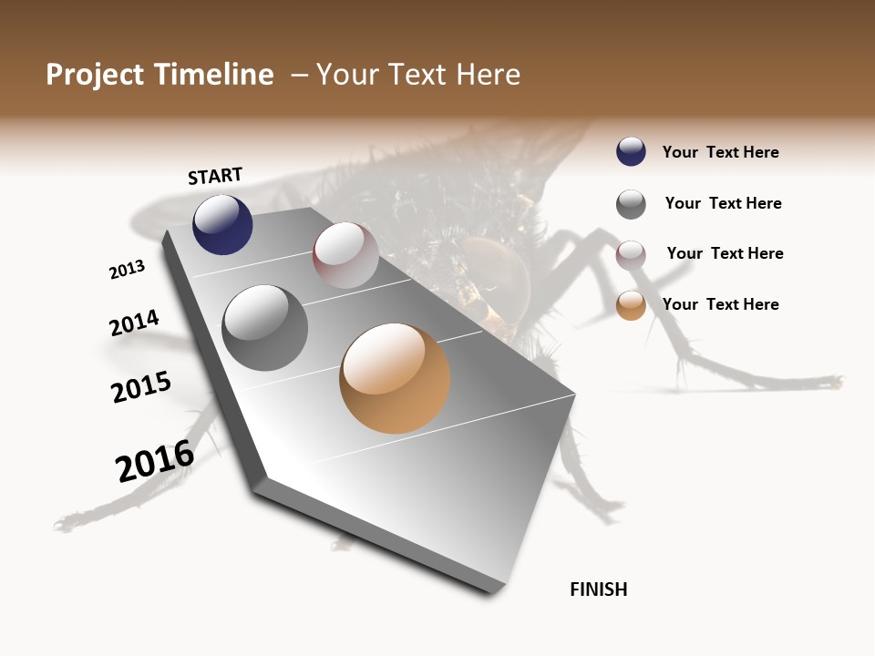 Fly Background Detailed PowerPoint Template