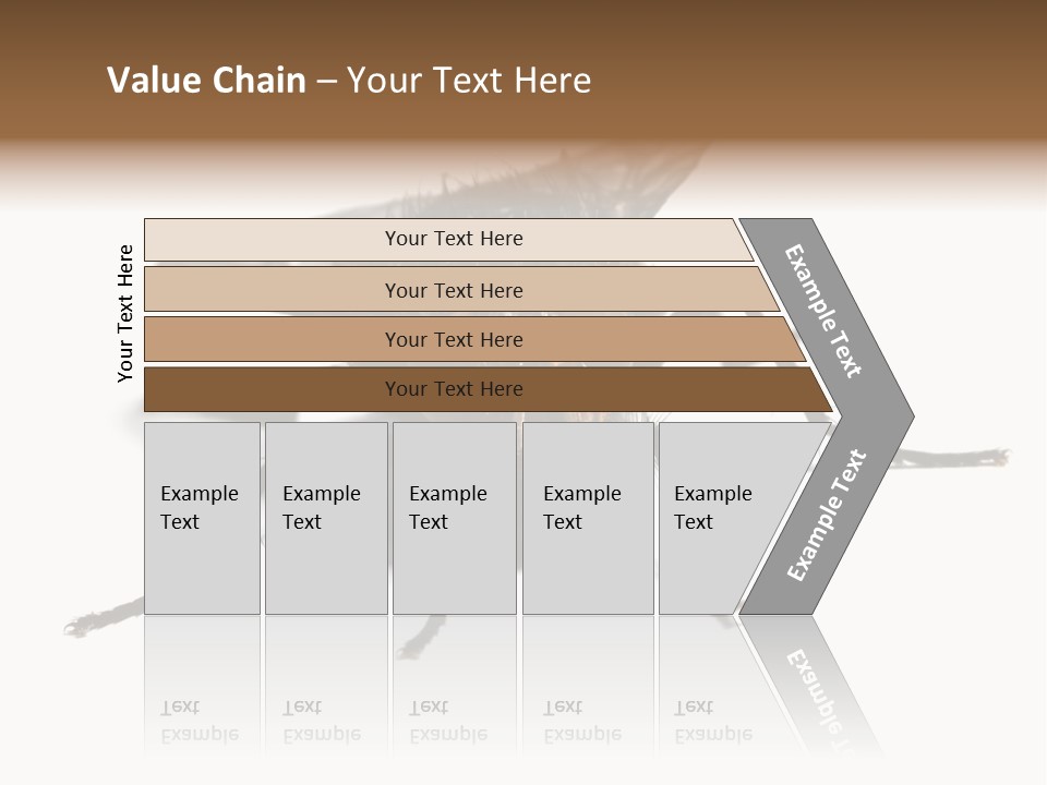 Fly Background Detailed PowerPoint Template