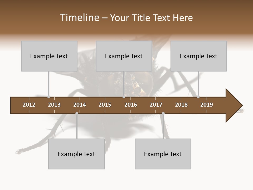 Fly Background Detailed PowerPoint Template