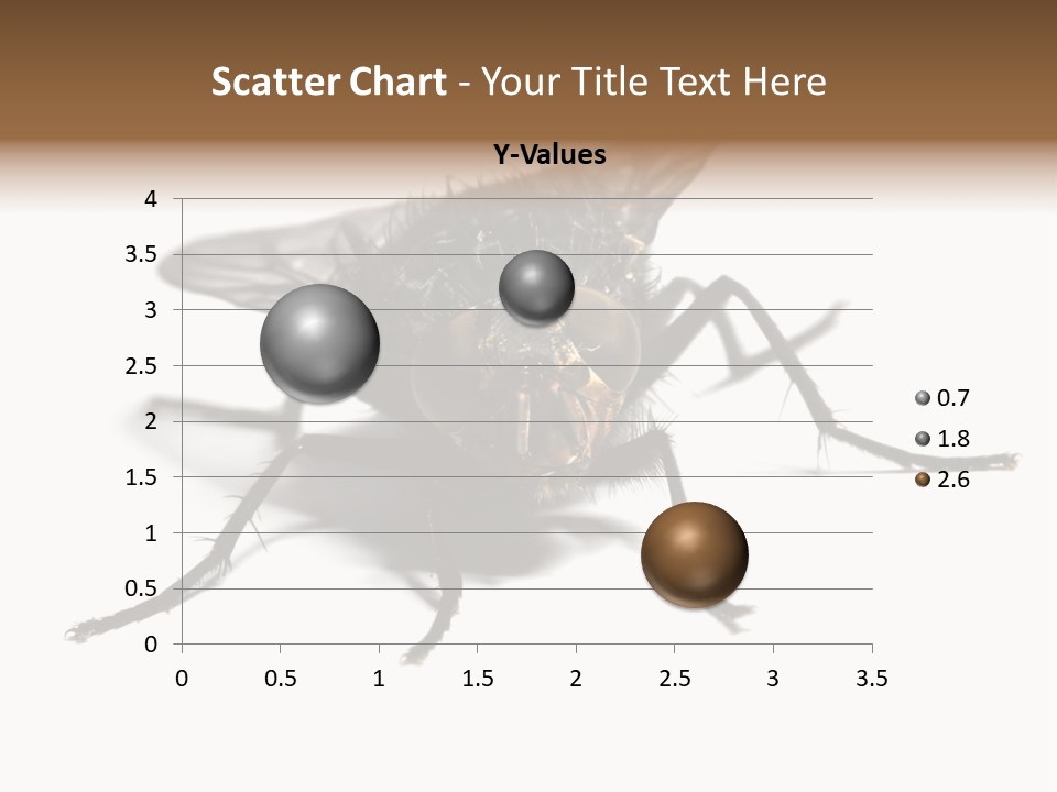 Fly Background Detailed PowerPoint Template