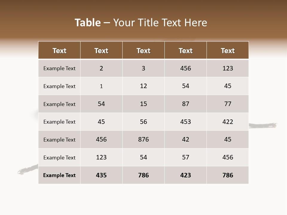 Fly Background Detailed PowerPoint Template
