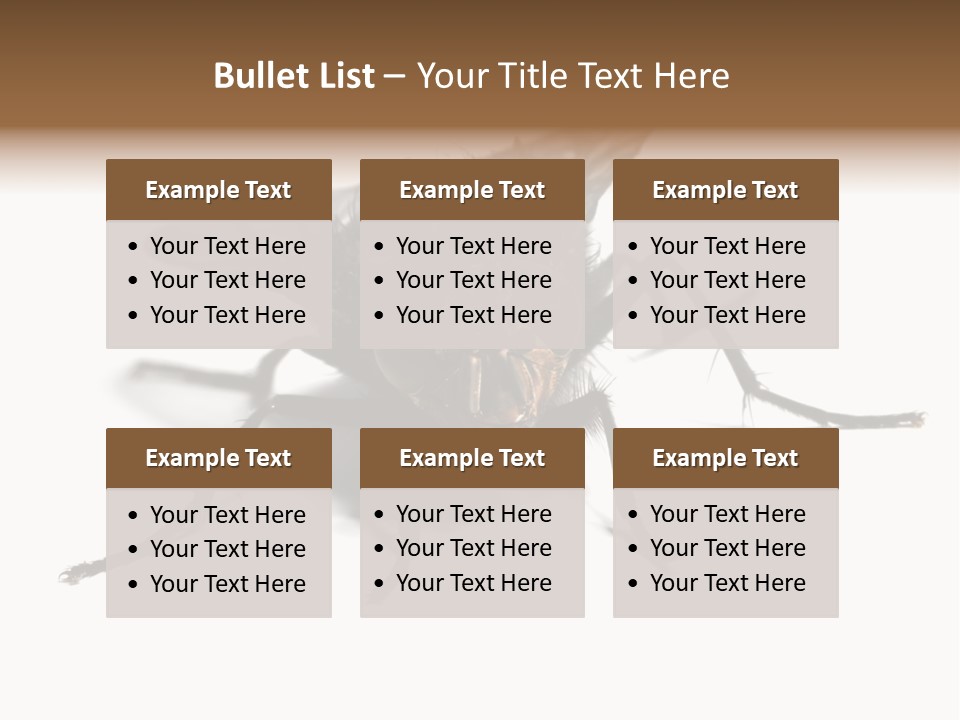 Fly Background Detailed PowerPoint Template