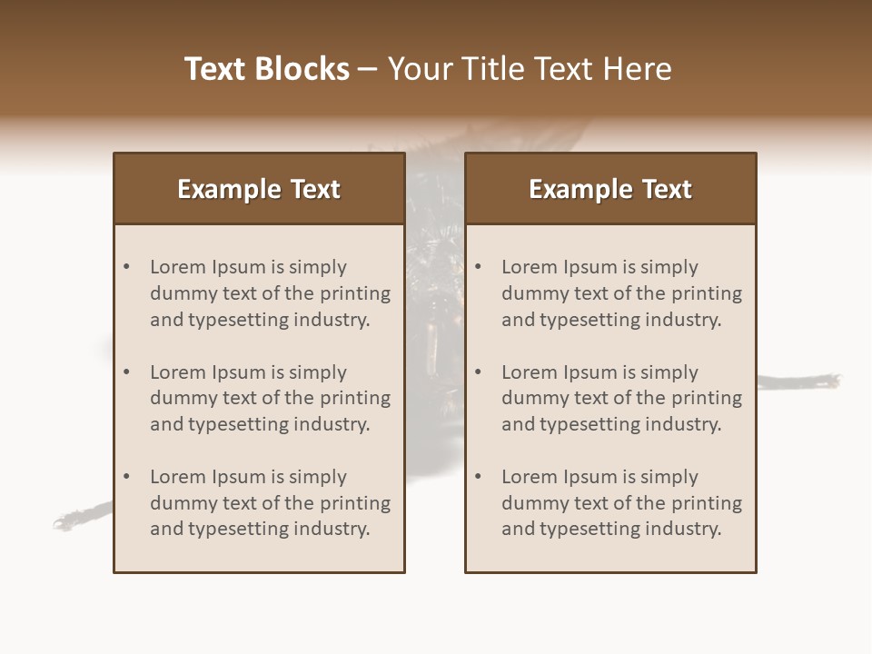 Fly Background Detailed PowerPoint Template