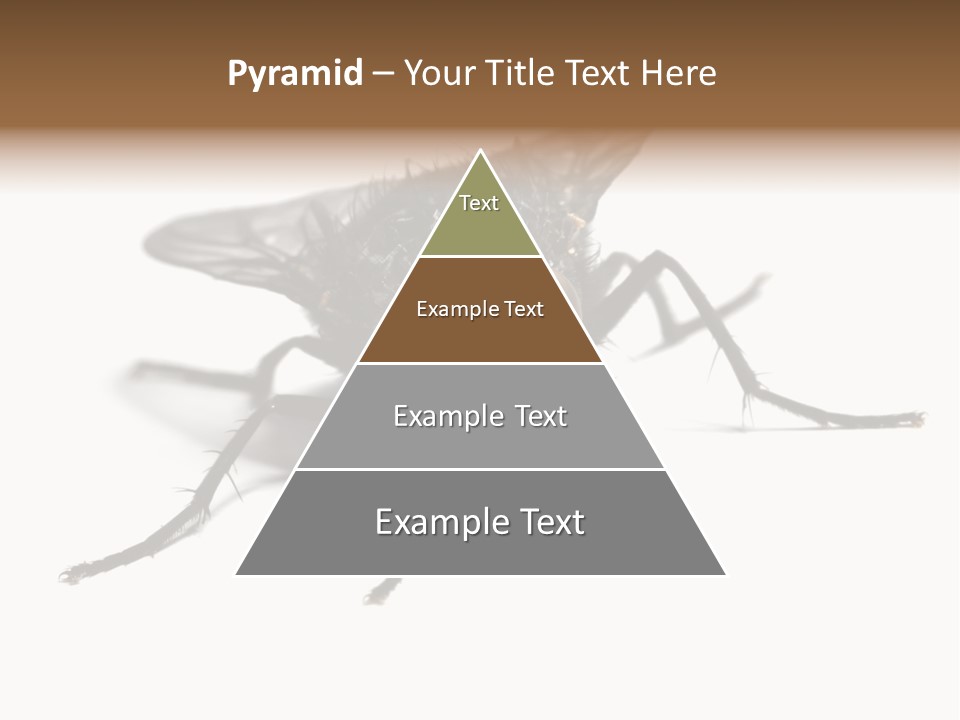 Fly Background Detailed PowerPoint Template