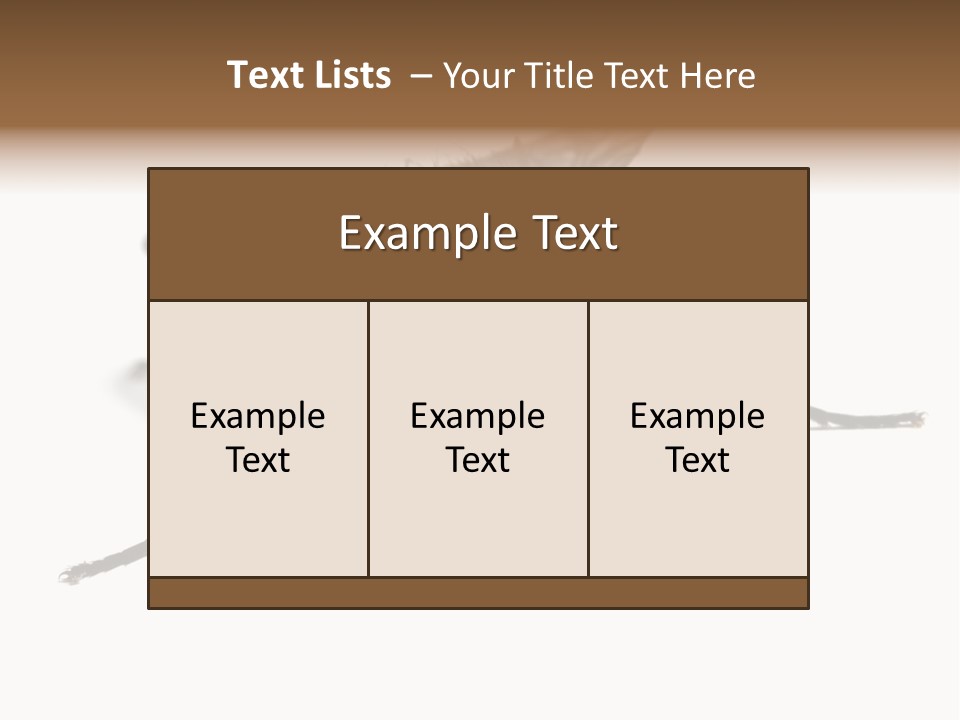 Fly Background Detailed PowerPoint Template