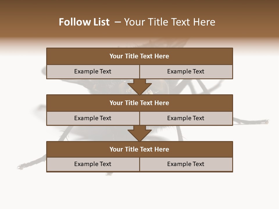 Fly Background Detailed PowerPoint Template