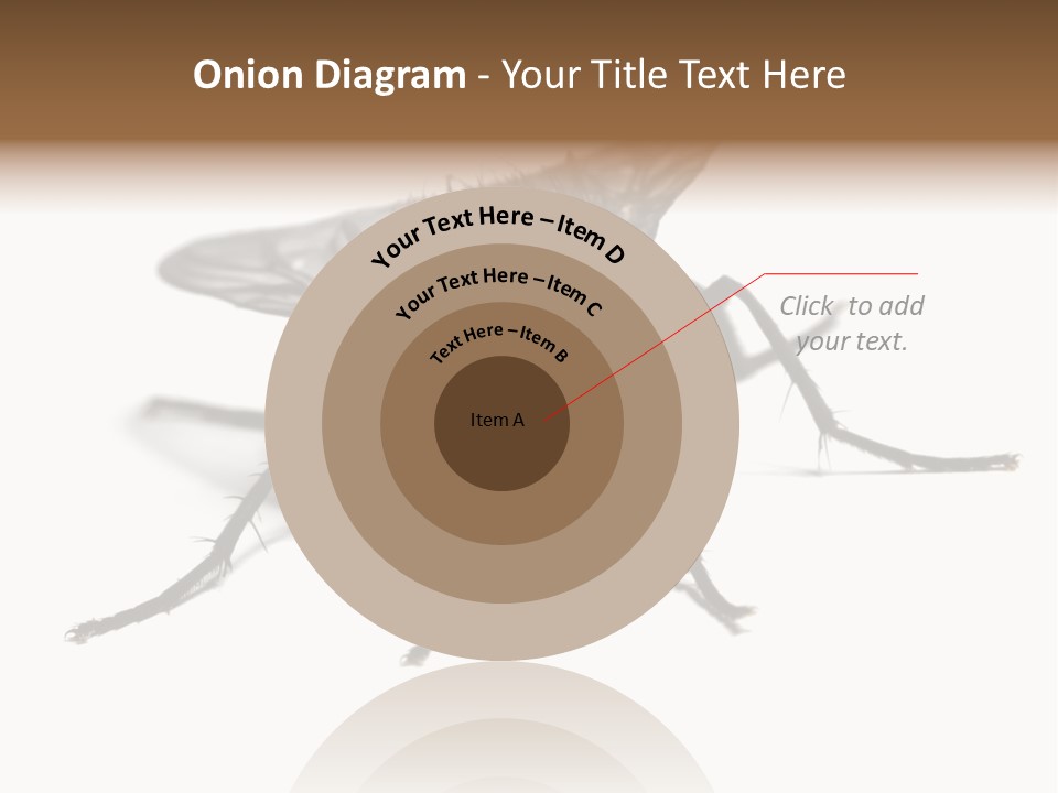 Fly Background Detailed PowerPoint Template