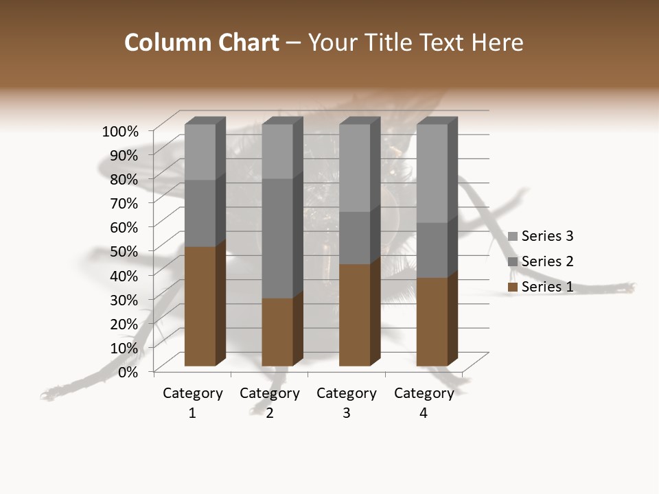 Fly Background Detailed PowerPoint Template