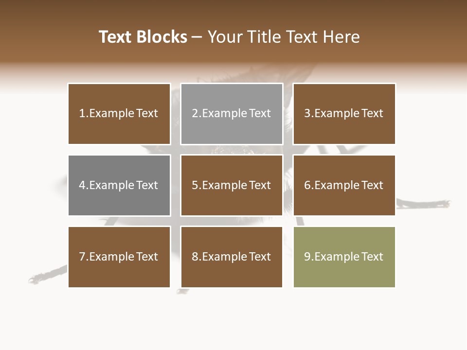 Fly Background Detailed PowerPoint Template