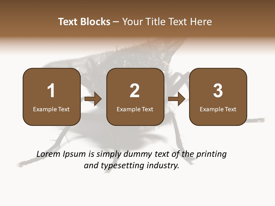 Fly Background Detailed PowerPoint Template