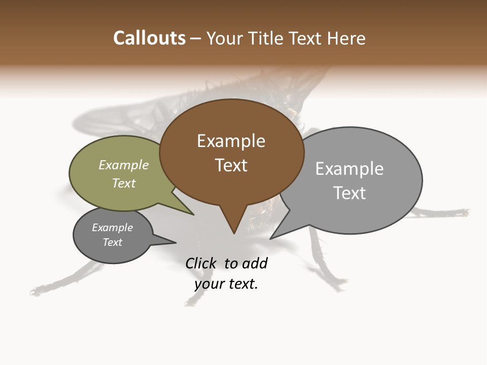 Fly Background Detailed PowerPoint Template
