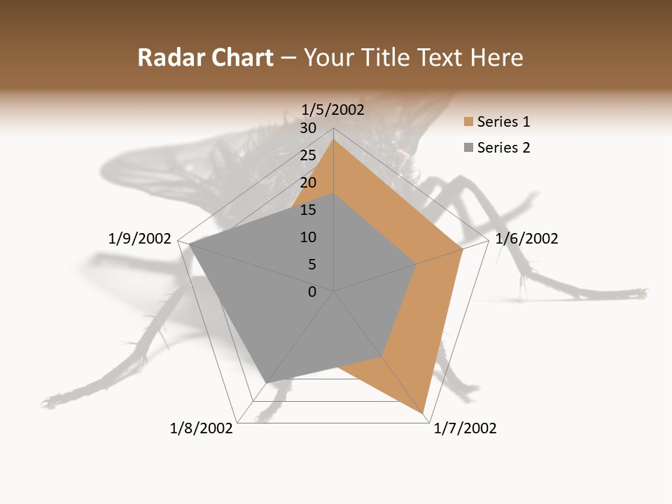 Fly Background Detailed PowerPoint Template