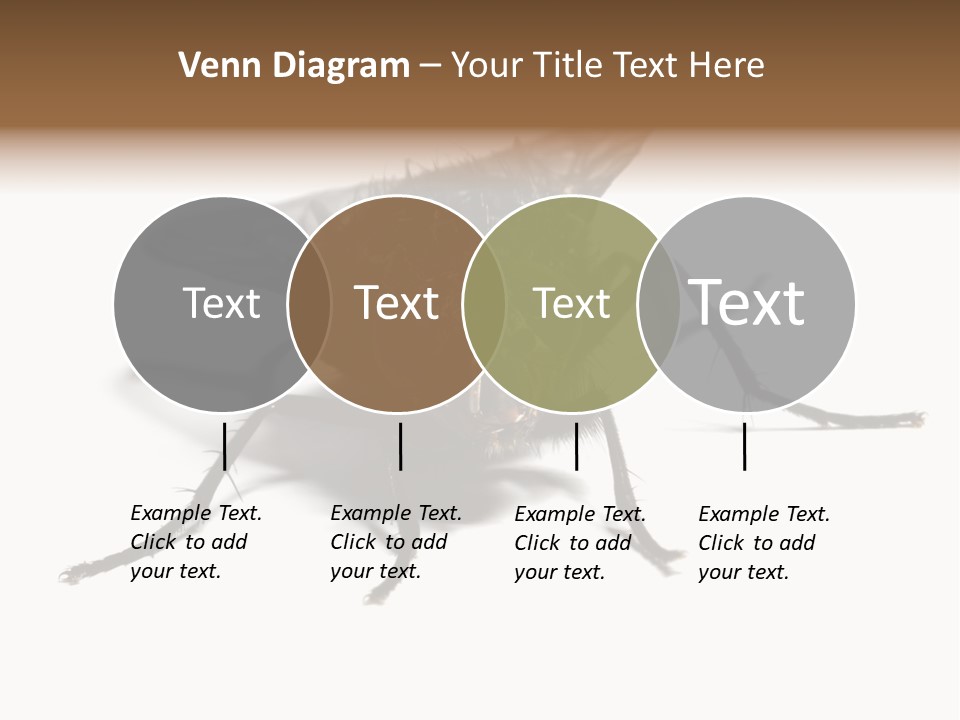 Fly Background Detailed PowerPoint Template