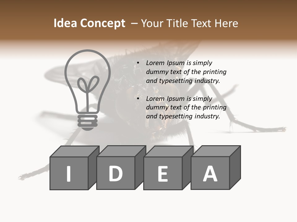 Fly Background Detailed PowerPoint Template