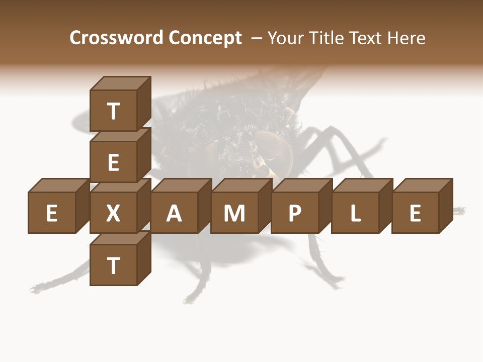 Fly Background Detailed PowerPoint Template