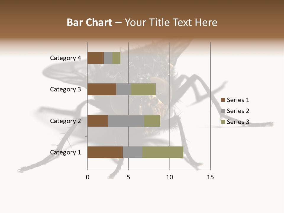 Fly Background Detailed PowerPoint Template