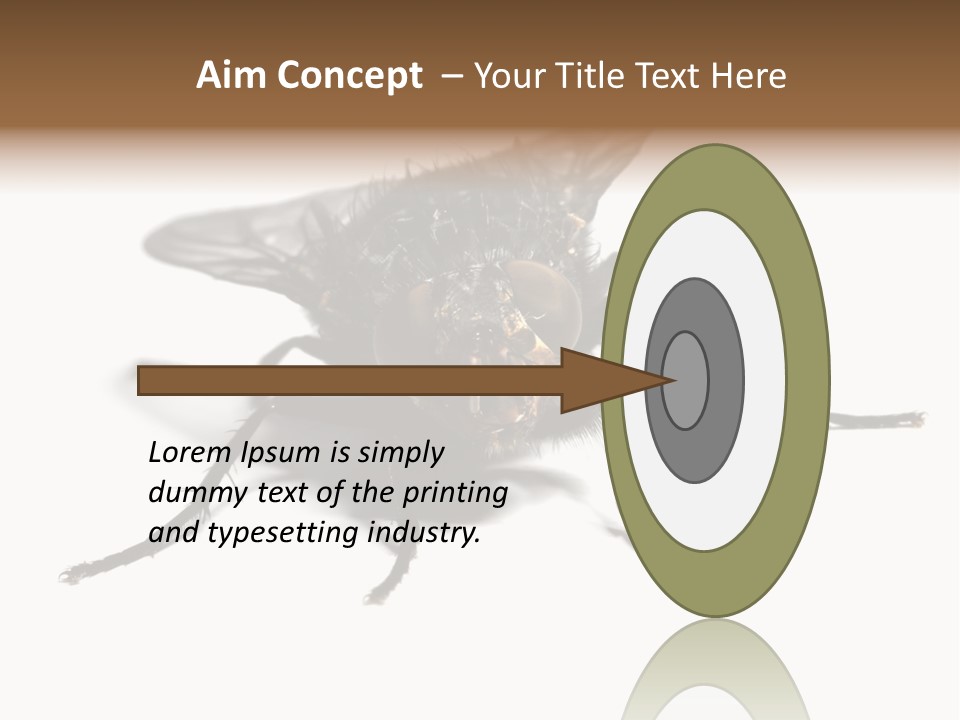 Fly Background Detailed PowerPoint Template